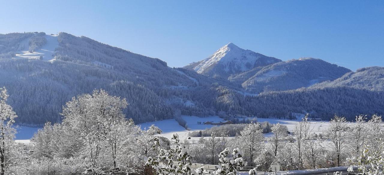 Filzerlehen Villa Radstadt Exterior photo